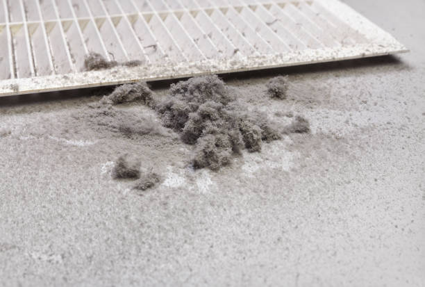 Best Local Air Duct Cleaning Services  in Three Rivers, MI